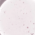My Fav Topper