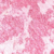 005 Rose Cupcake