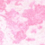 006 Strawberry Macaron