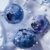 Blueberry & Vitamin