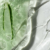 micellar & Aloe