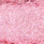 Sakura Star